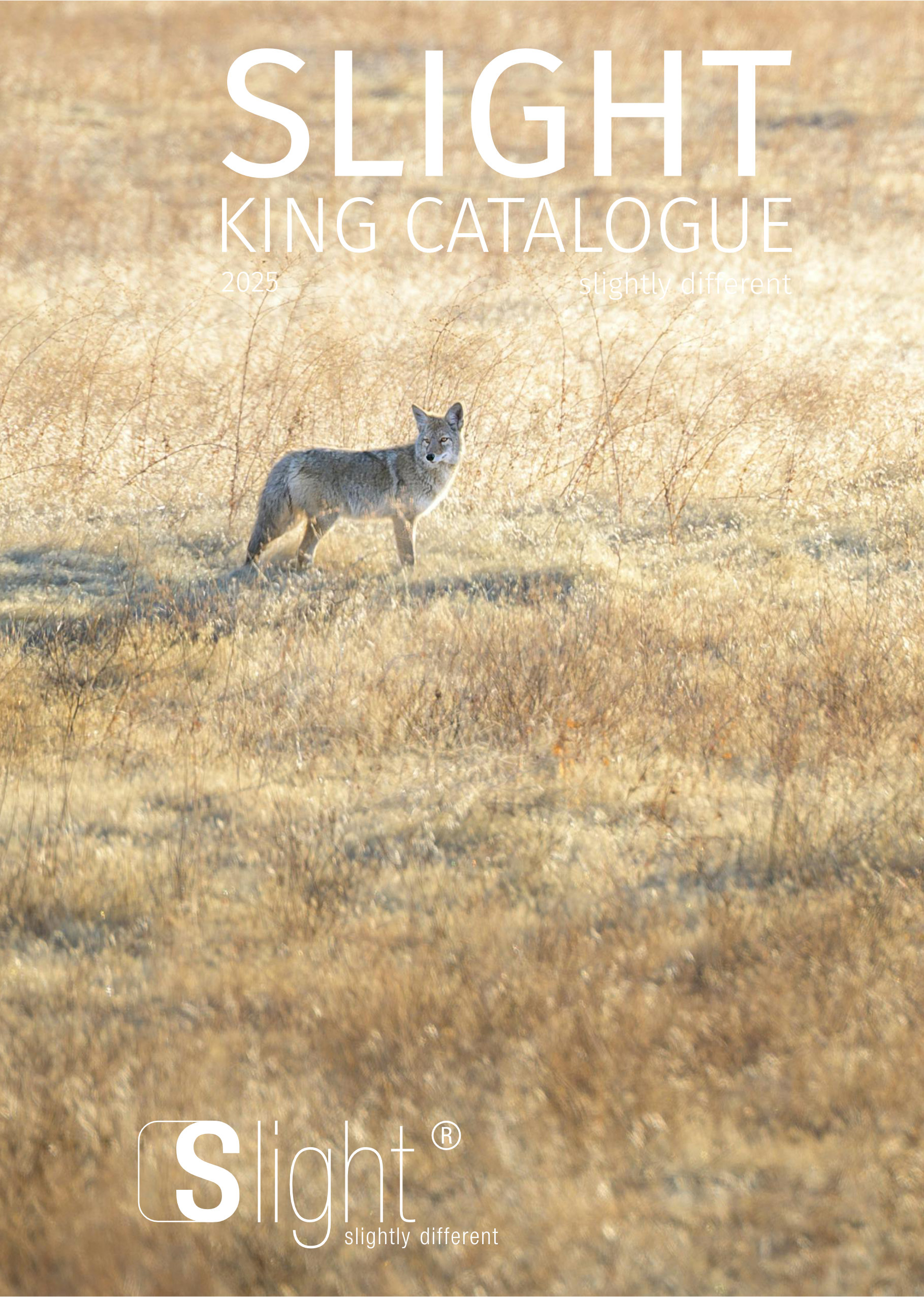 Slight WEB - King 2025 A5.pdf